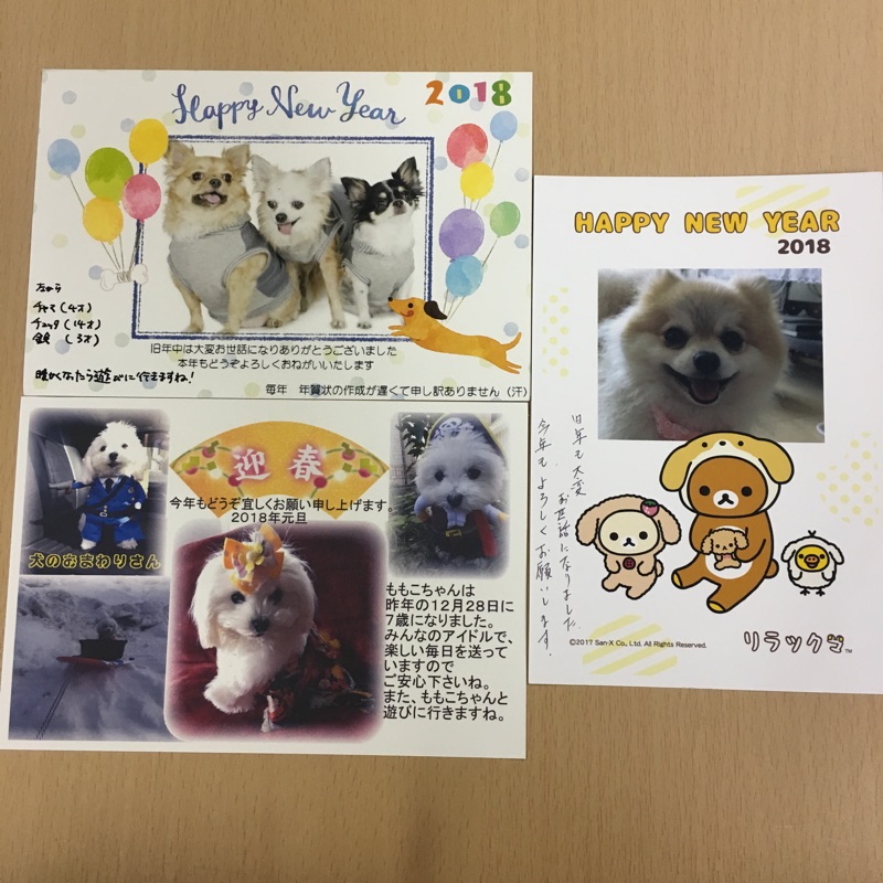 【今日の里帰りワンコ🐶トイプードルのまる子ちゃん💕】支援物資＆年賀状もありがとう💑